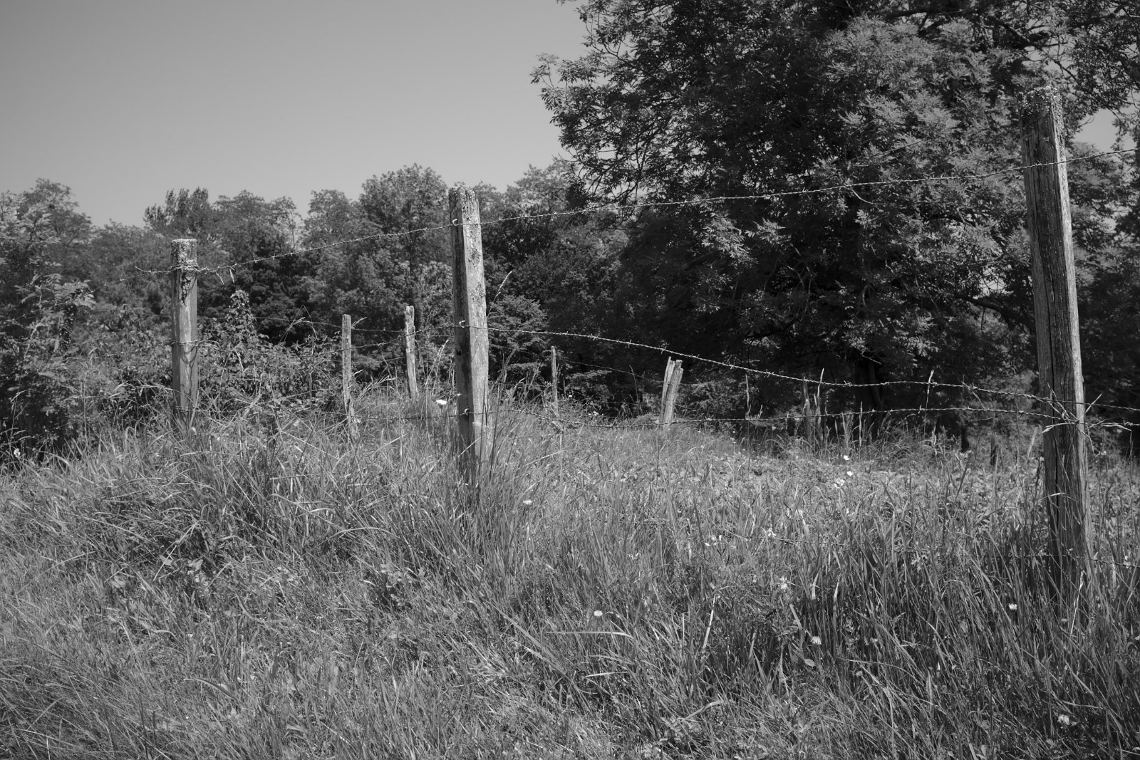 2019_06 part 7 (011).jpg