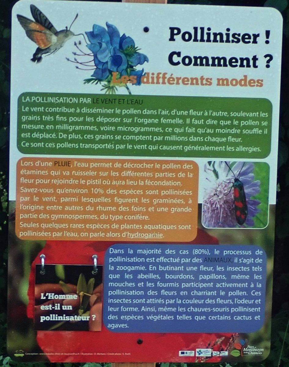 panneau éducatif-2.jpg