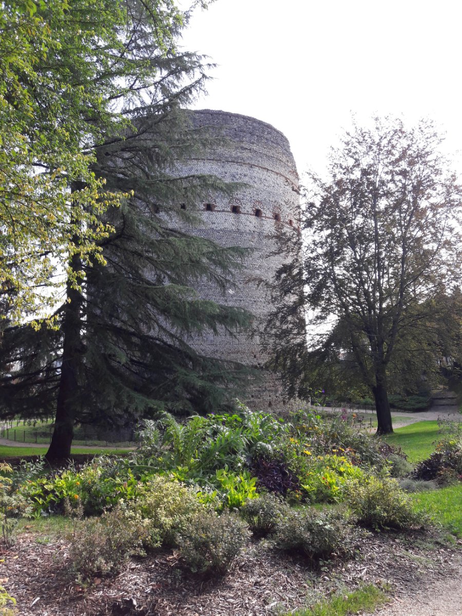 La tour Vesone à Périgueux f.jpg