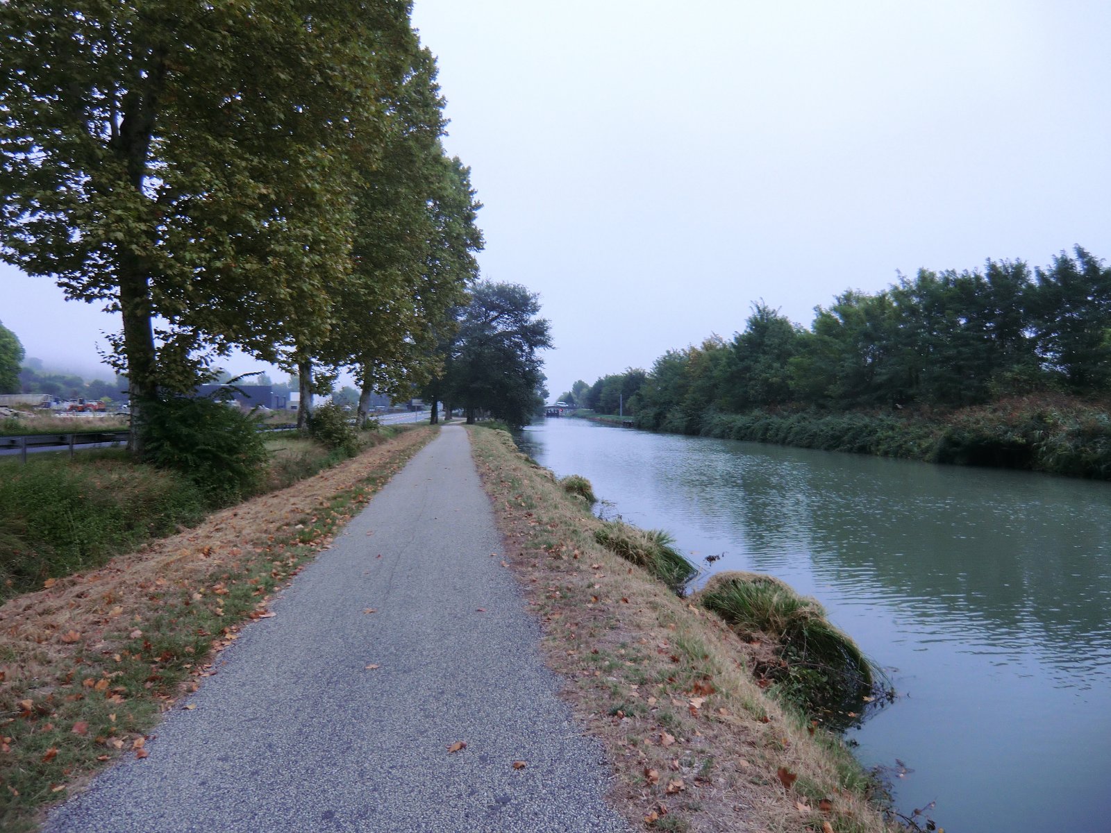 Canal latéral à la Garonne f.jpg