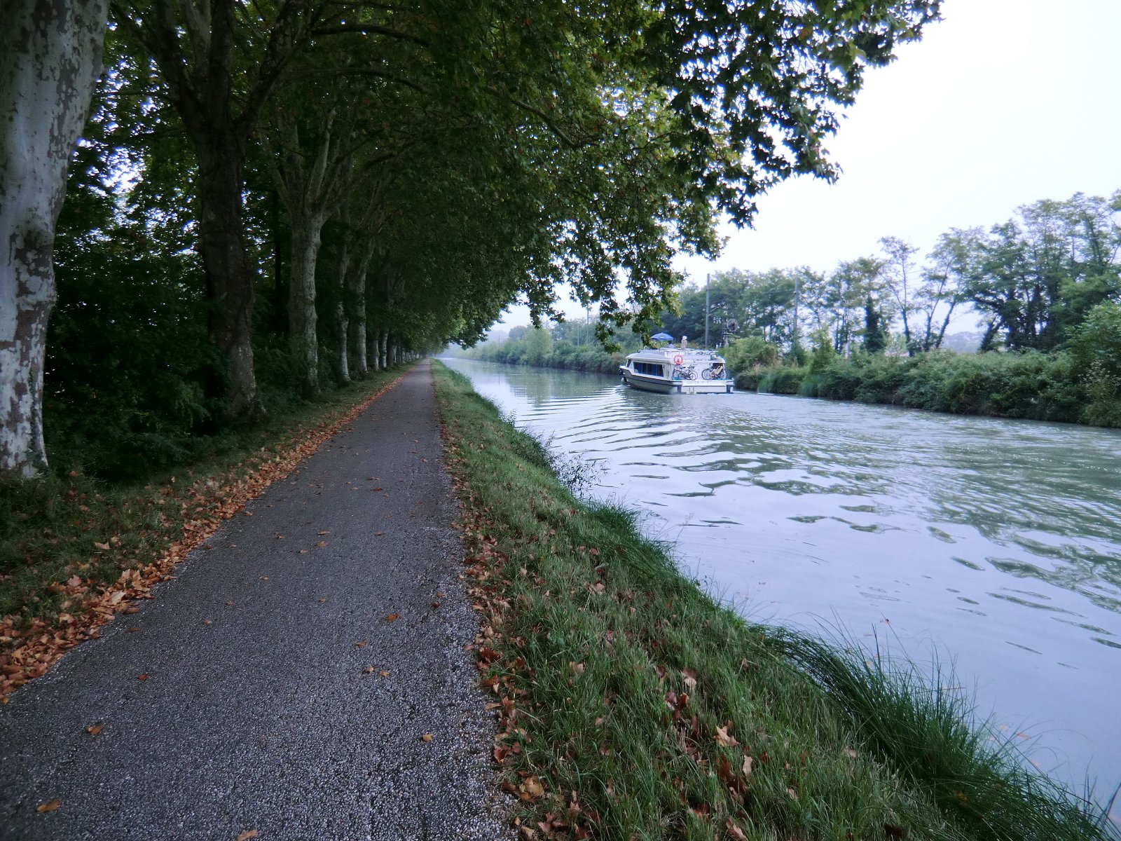 Canal latéral à la Garonne 1 f.jpg