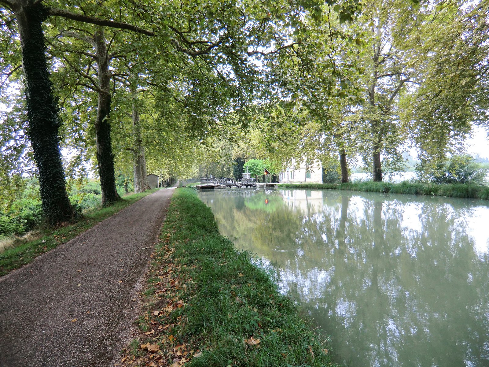 Canal latéral à la Garonne 2 f.jpg
