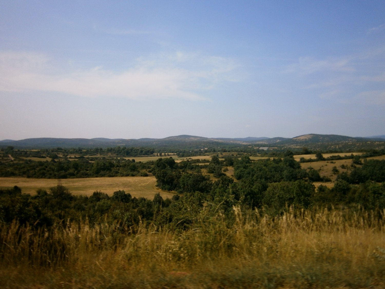 P1010162.JPG