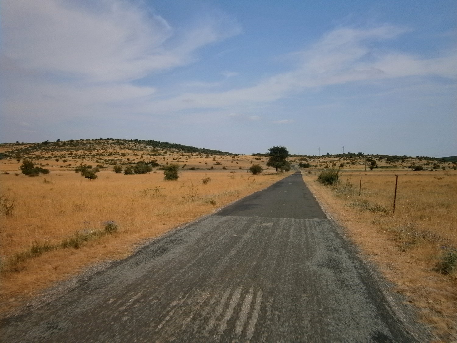 P1010164.JPG
