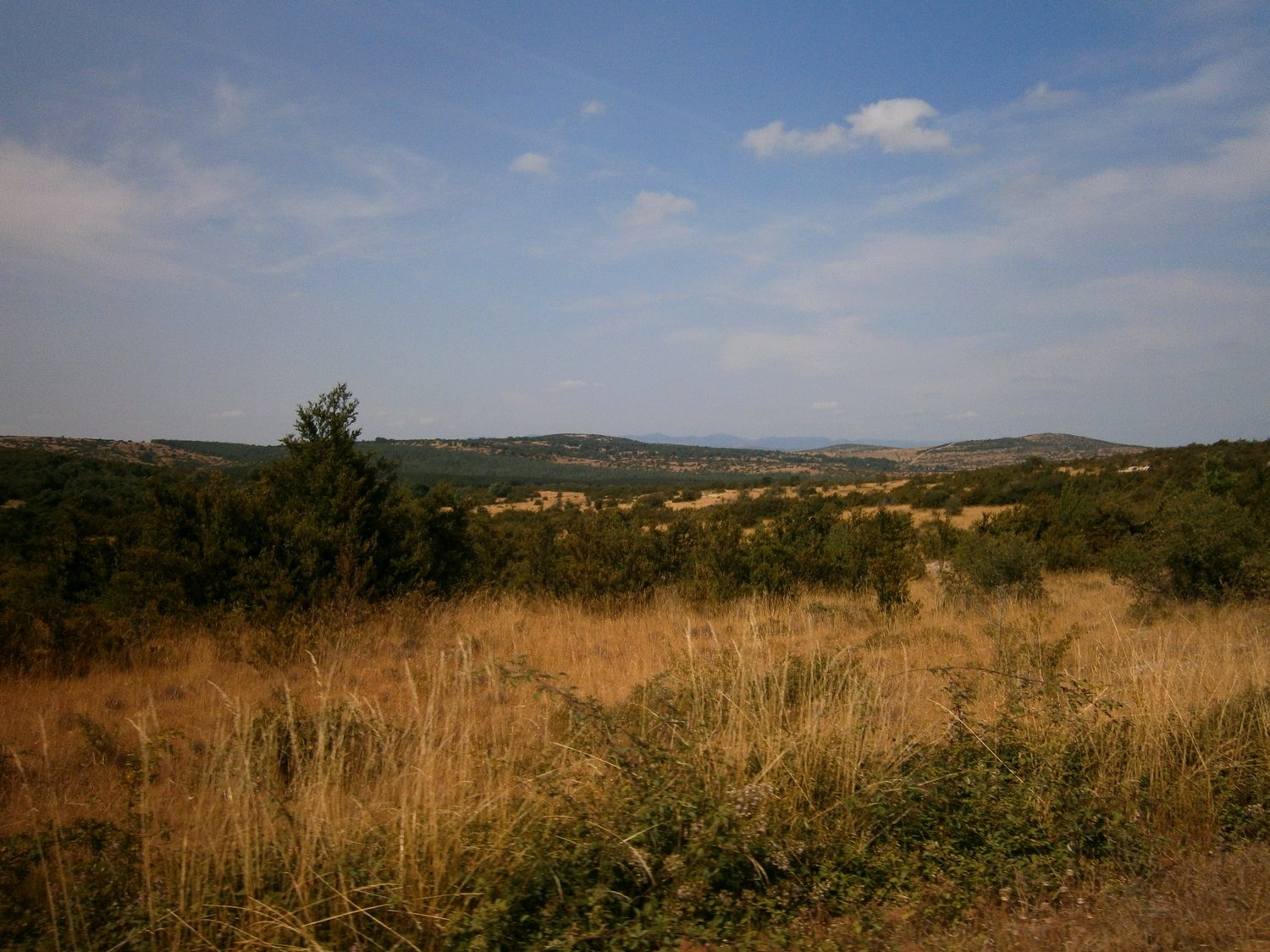 P1010167.JPG