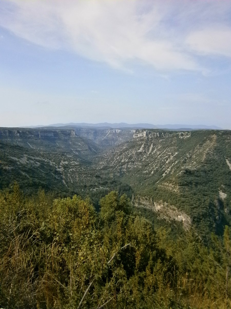 P1010179.JPG