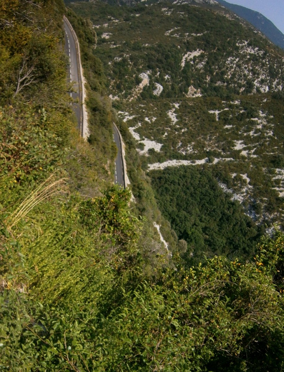 P1010182.JPG