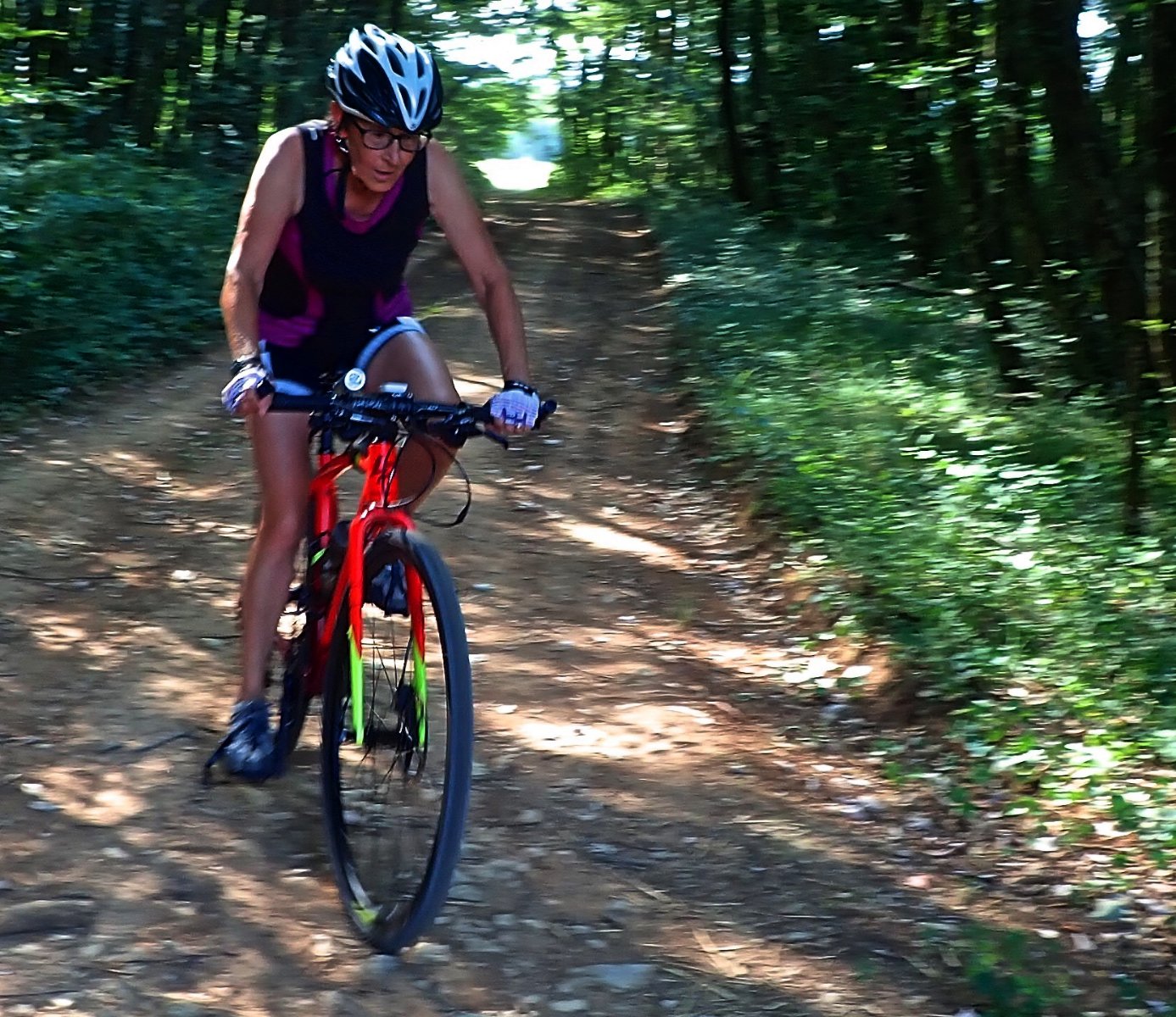 Chemin des Fontenis.jpg