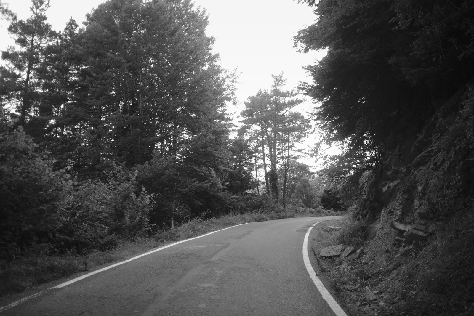 2019_07 part 1 (214).jpg