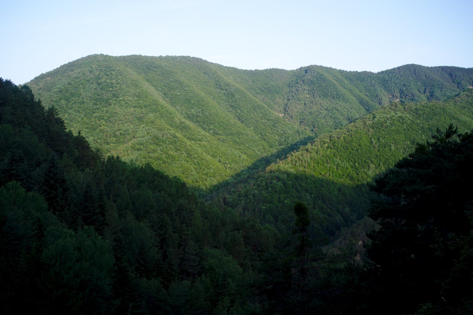2019_07 part 1 (215).jpg