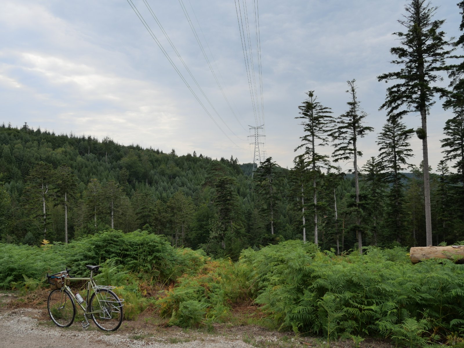 P1001230.JPG