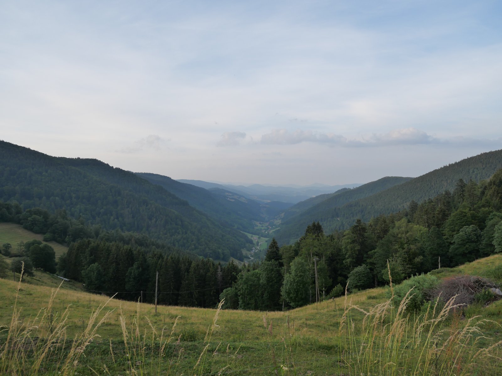 P1000977.JPG