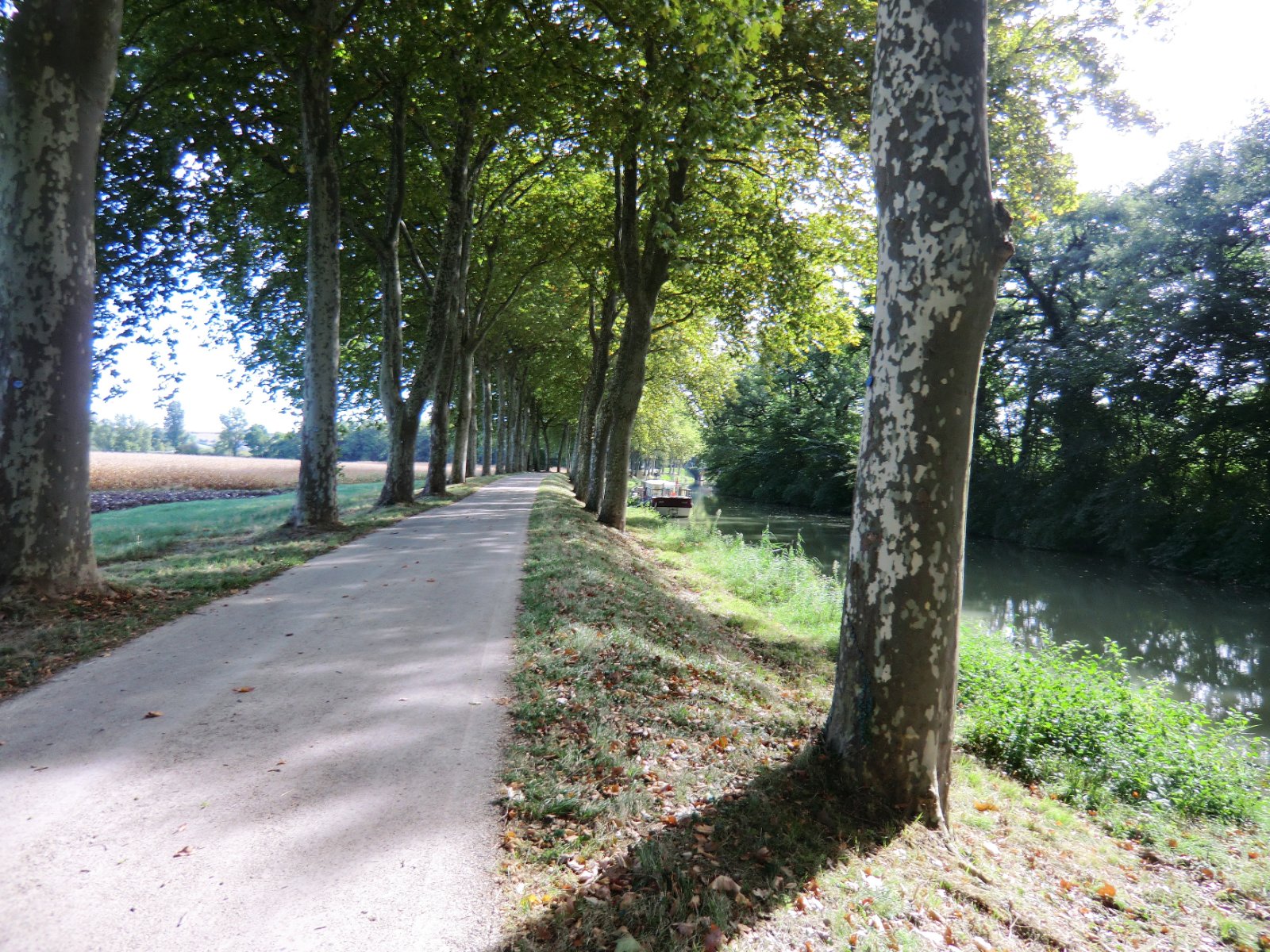 Canal du Midi f.jpg