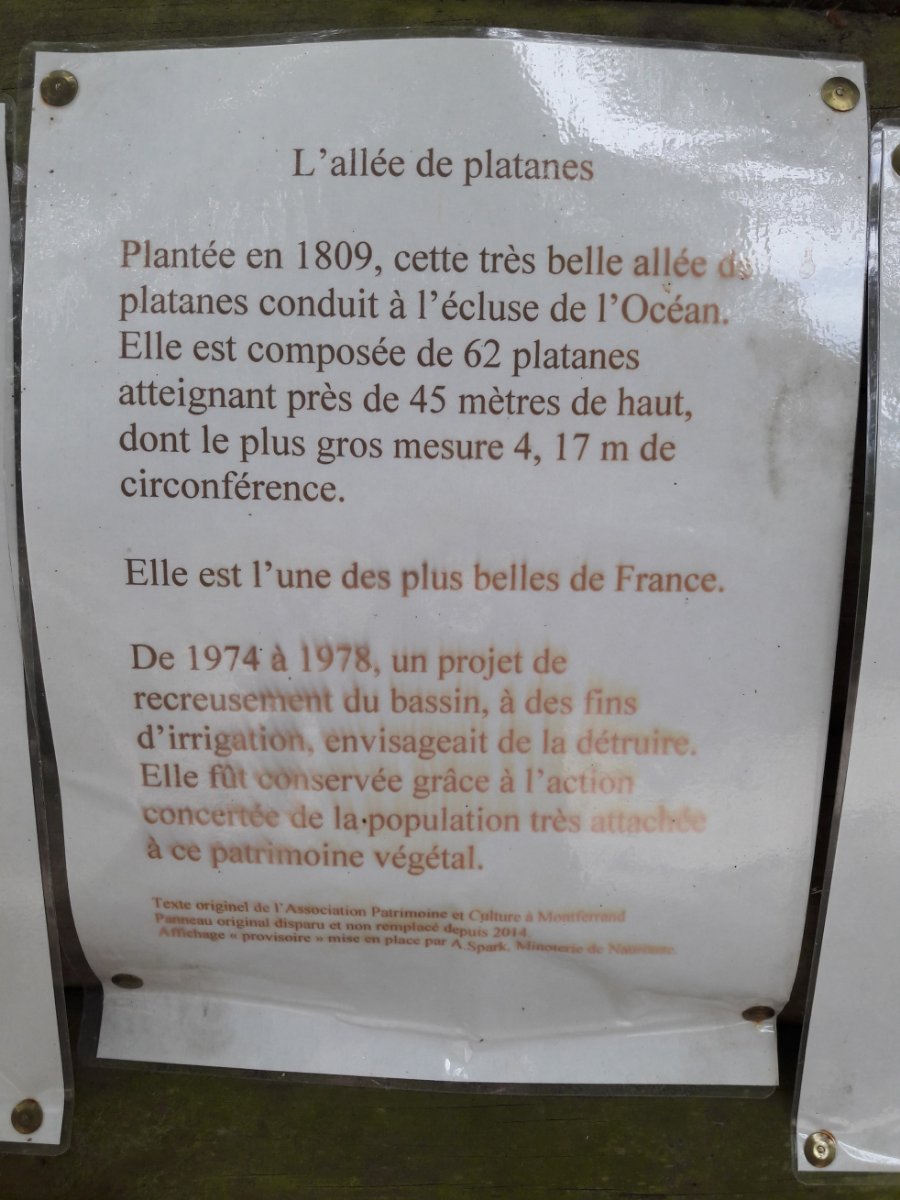 A quoi tiennent les choses f.jpg