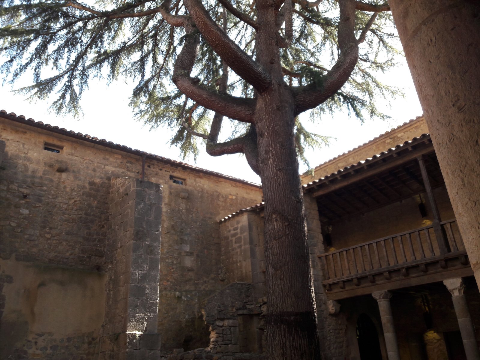 L'arbre central.jpg