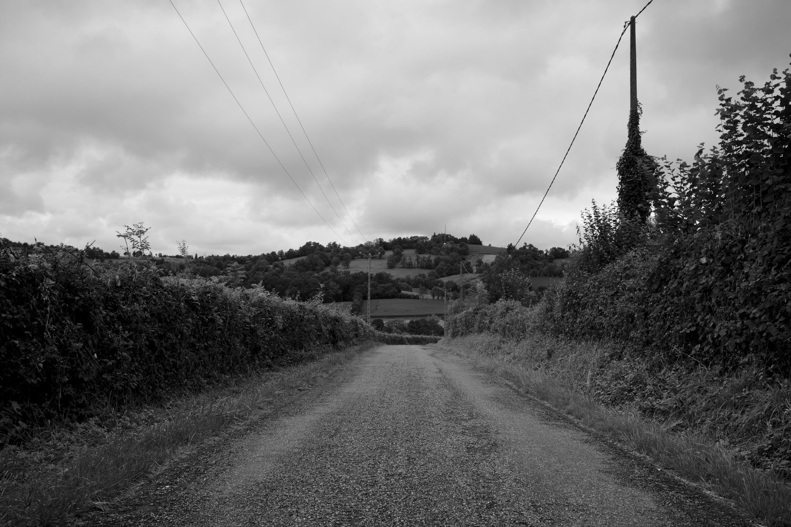 2019_08 part 2 (081).jpg