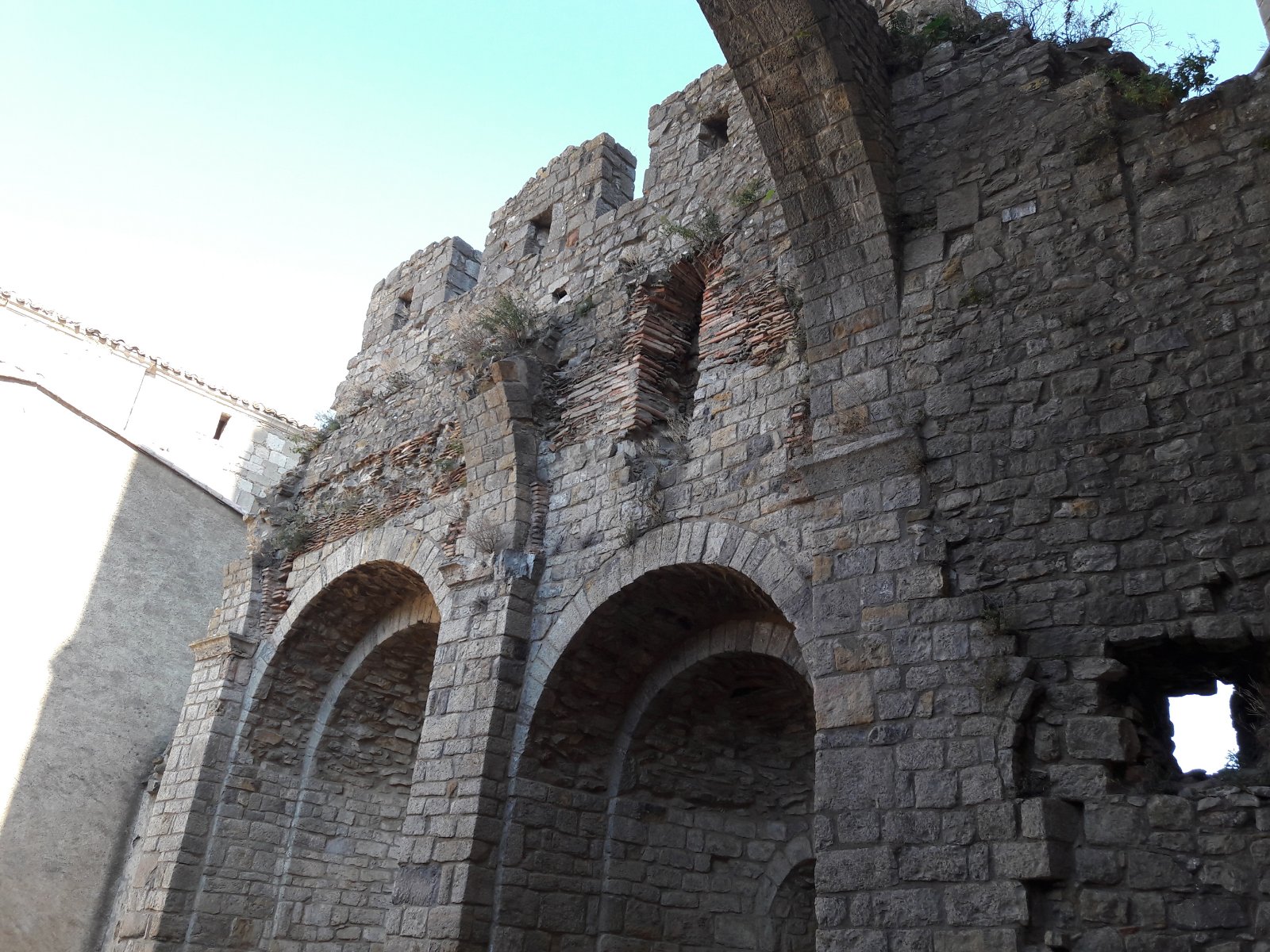 Vestiges église abbatiale - Le chevet.jpg