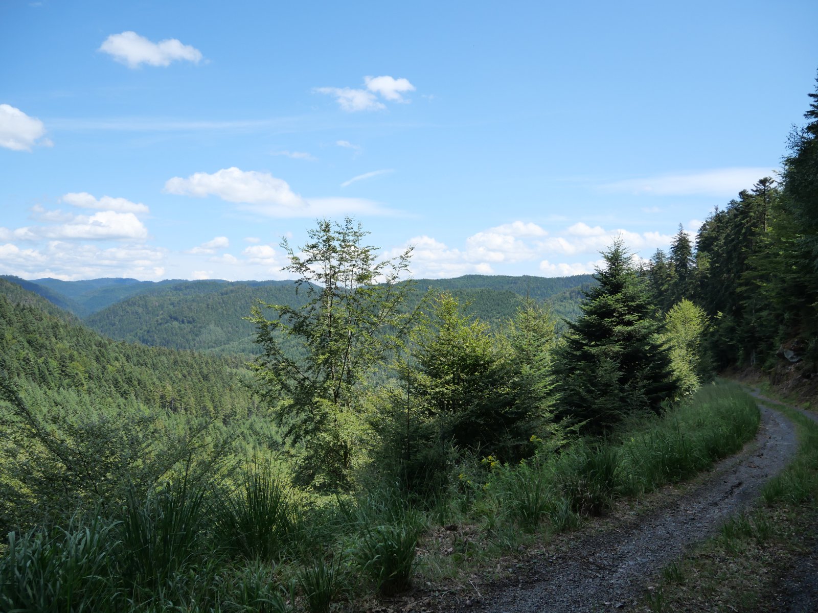 P1001343.JPG
