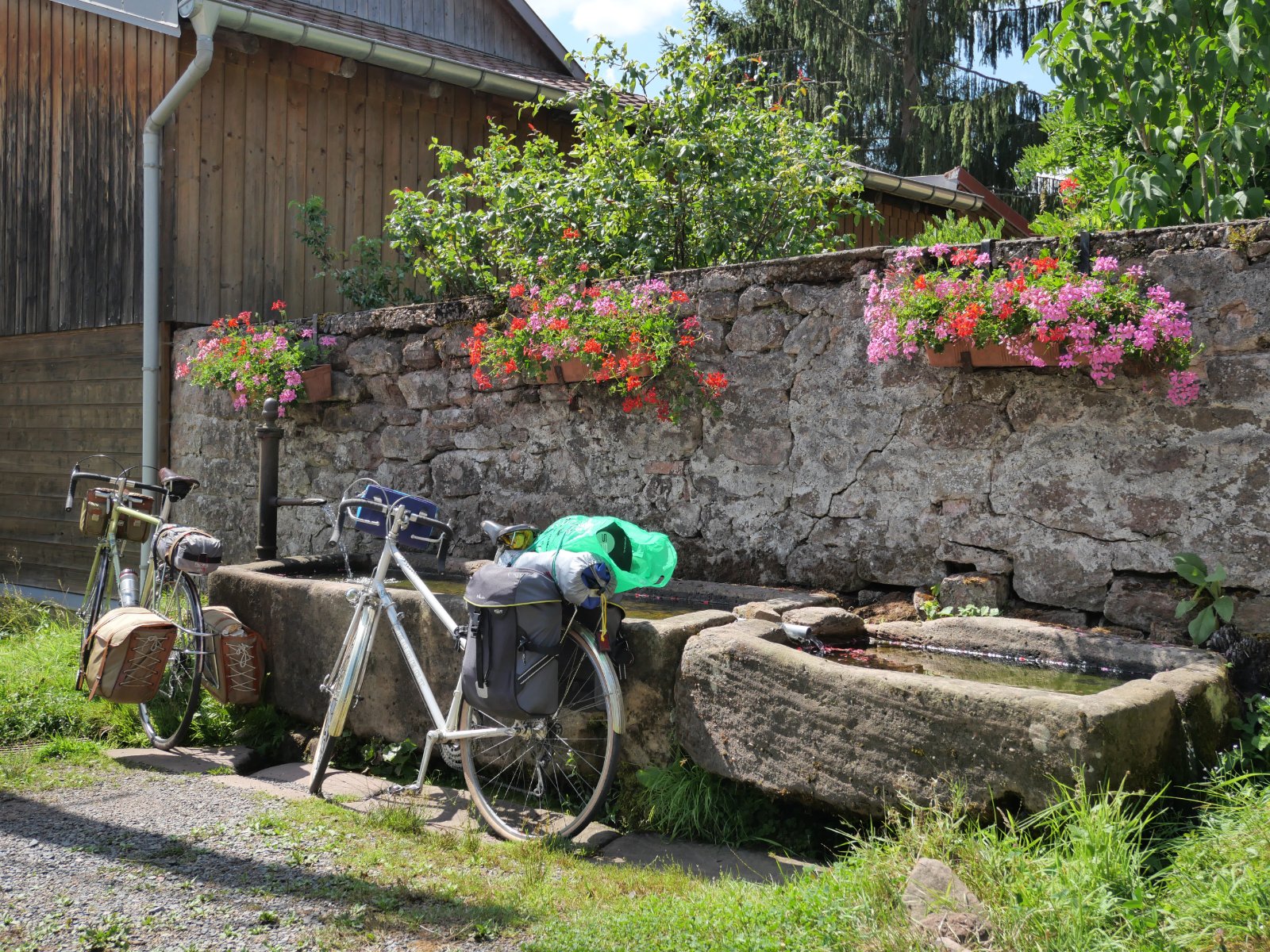 P1001357 c.jpg