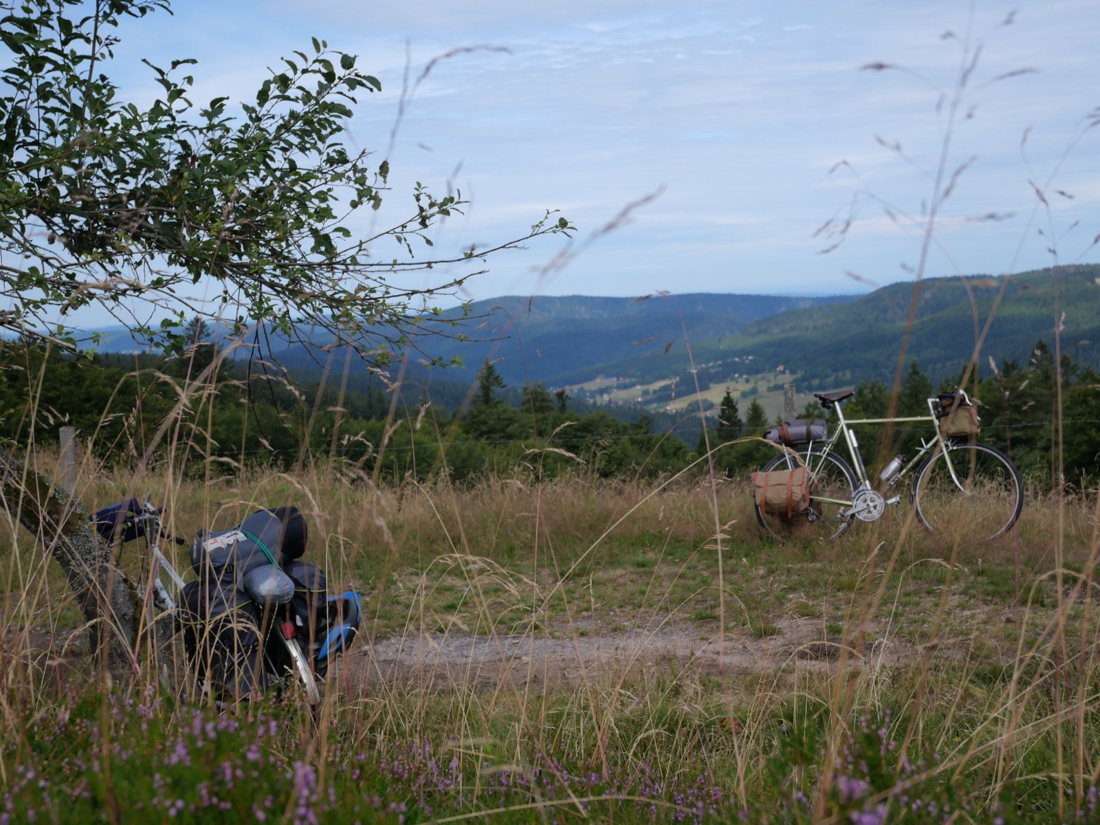 P1001422.JPG