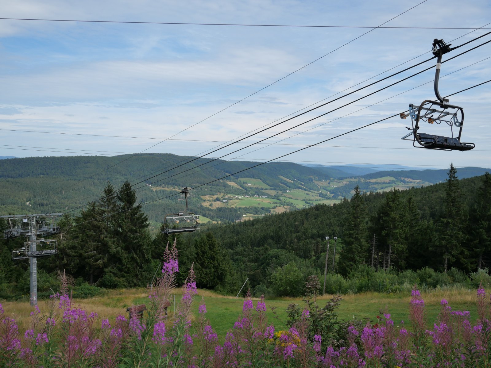 P1001451.JPG