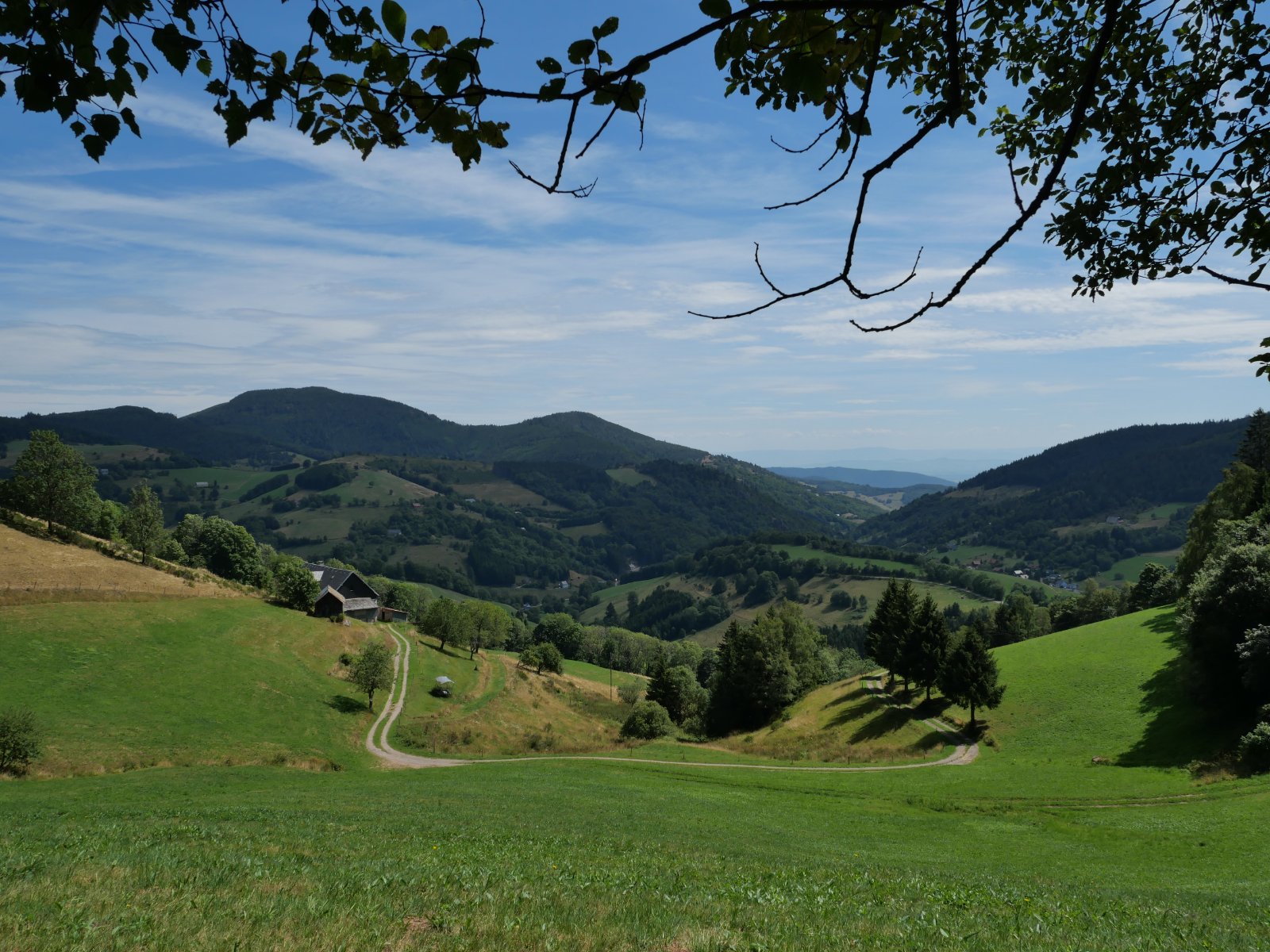 P1001477.JPG