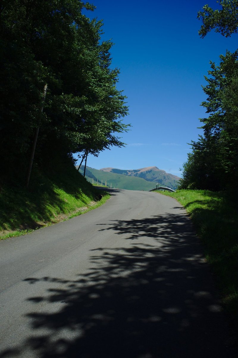 2019_08 part 5 (015).jpg