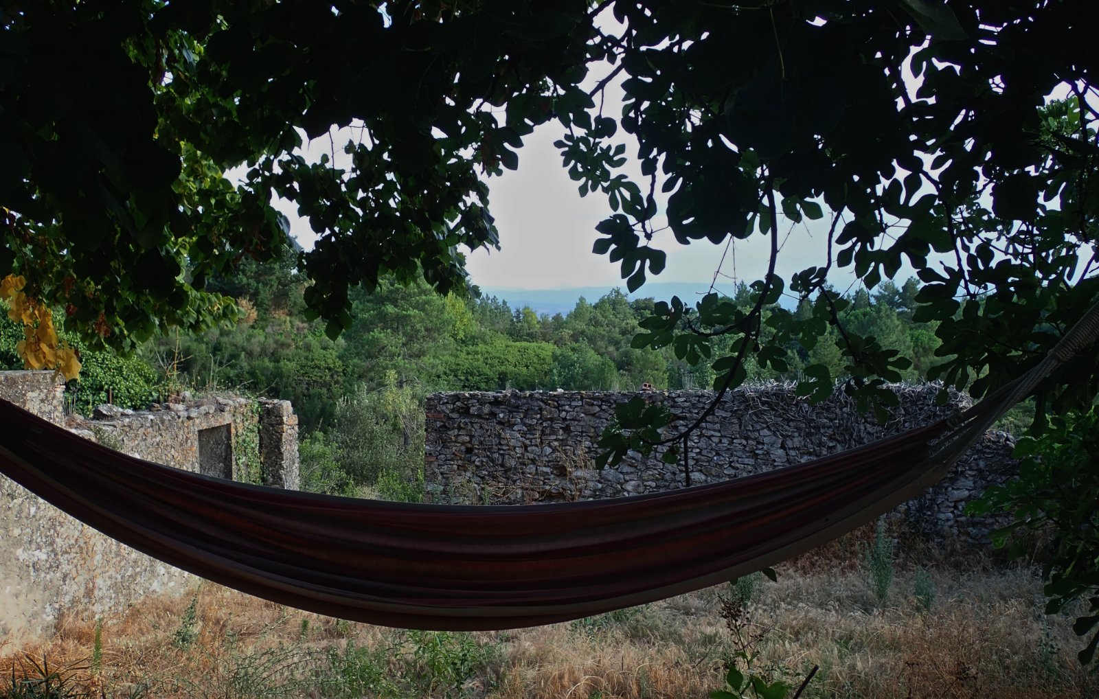 Cabrol idyllique.jpg