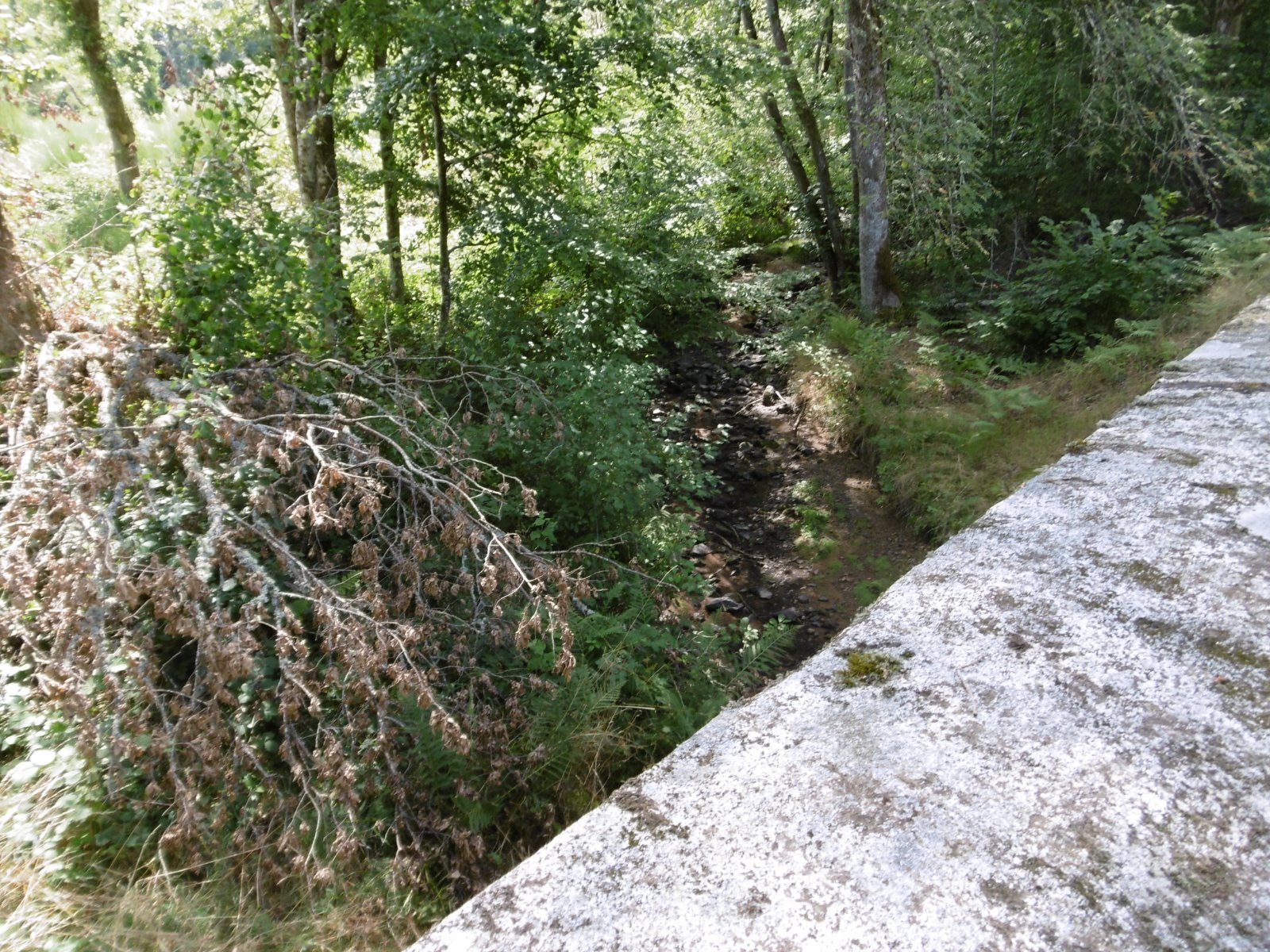 P1000425.JPG