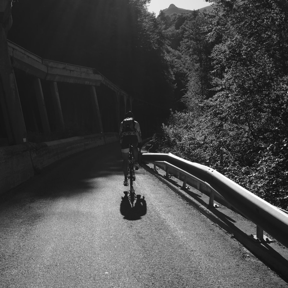 2019_08 part 7 (005).jpg