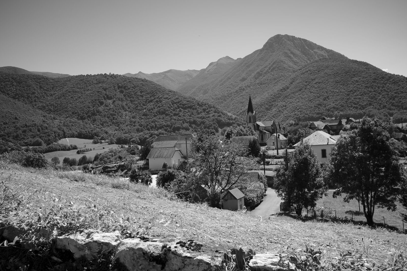 2019_08 part 7 (051).jpg