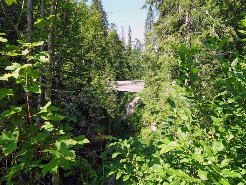 Le site du pont