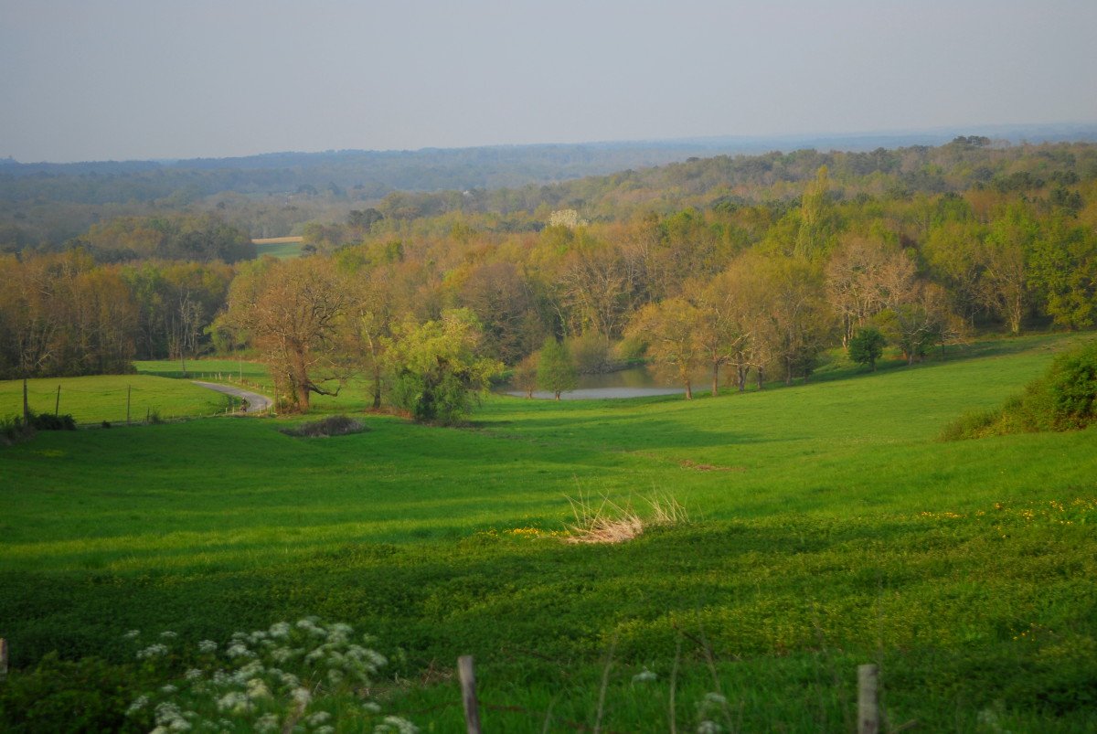 paysage reposant