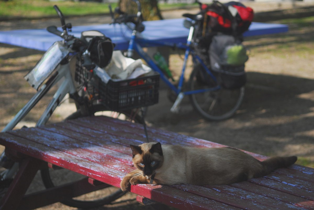 lever du jour au camping
