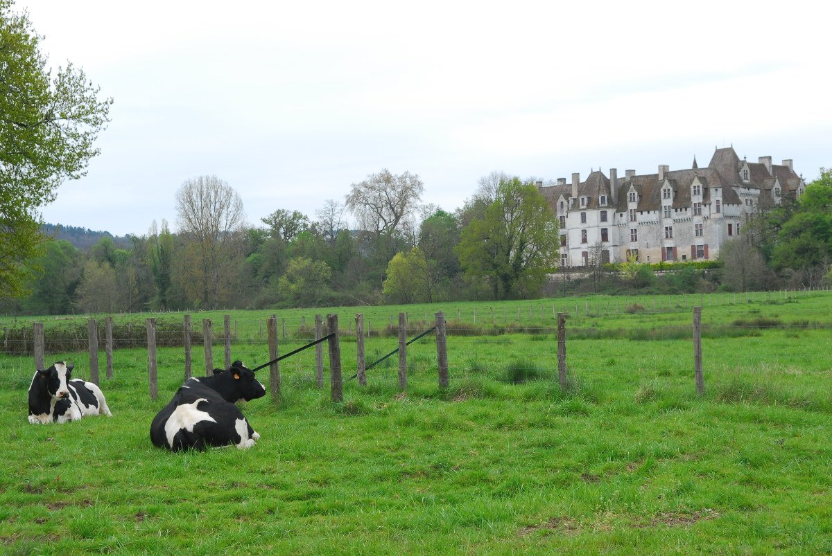 en contournant le château
