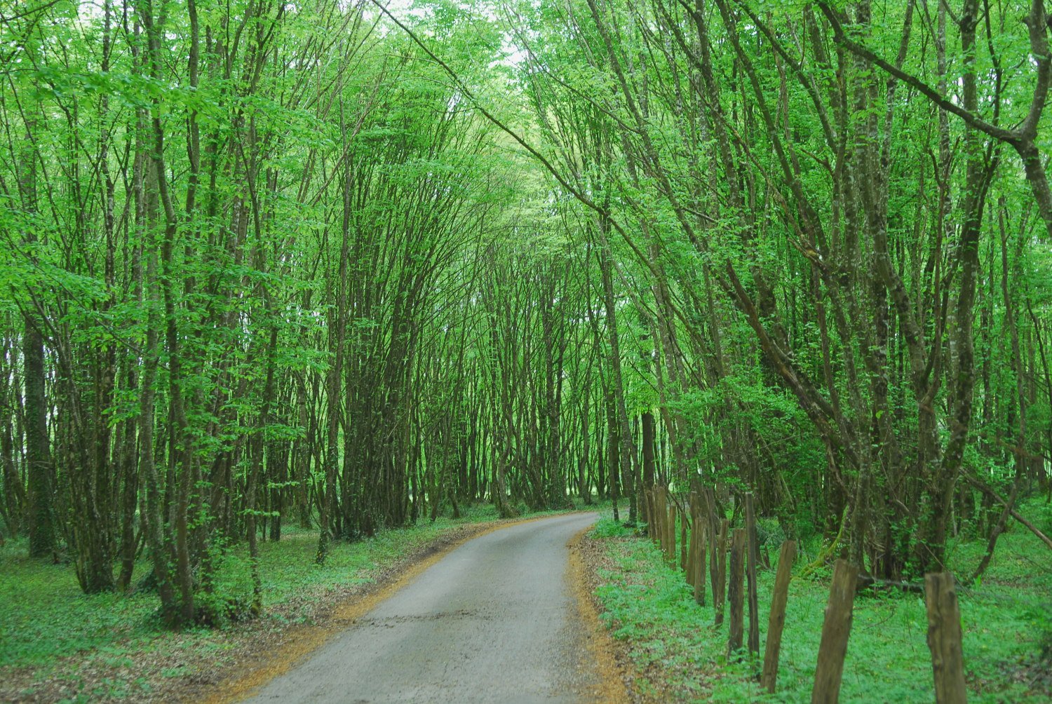 douceur du Périgord