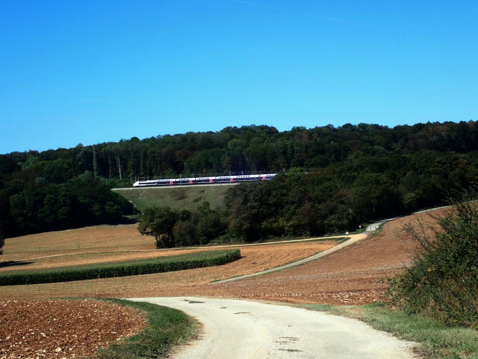 le Strasbourg-Dijon.jpg