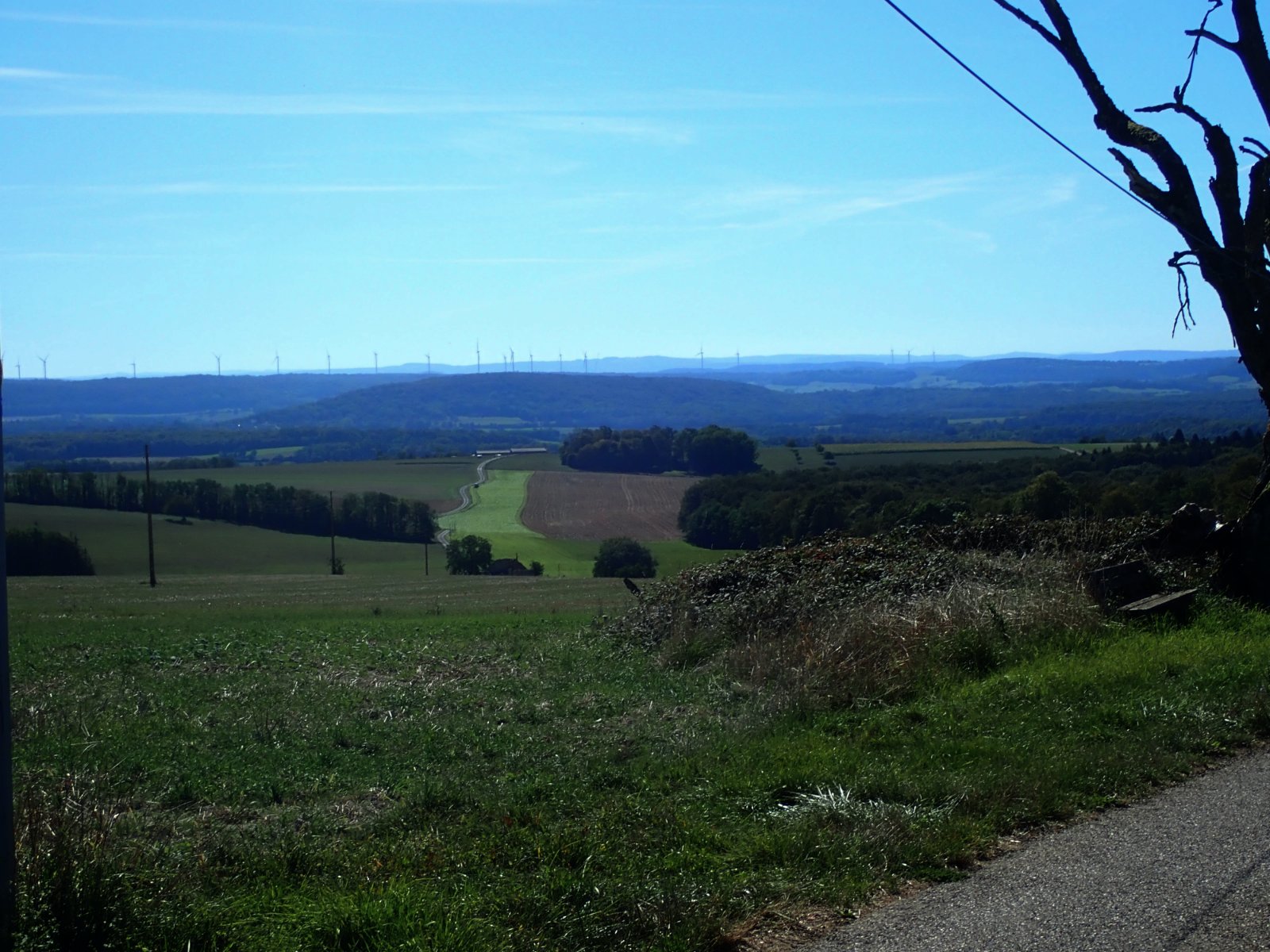 un champ d'éoliennes.jpg