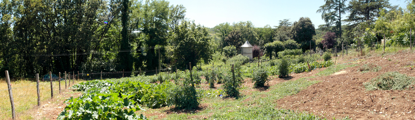 jardin au premier plan ; désherbage