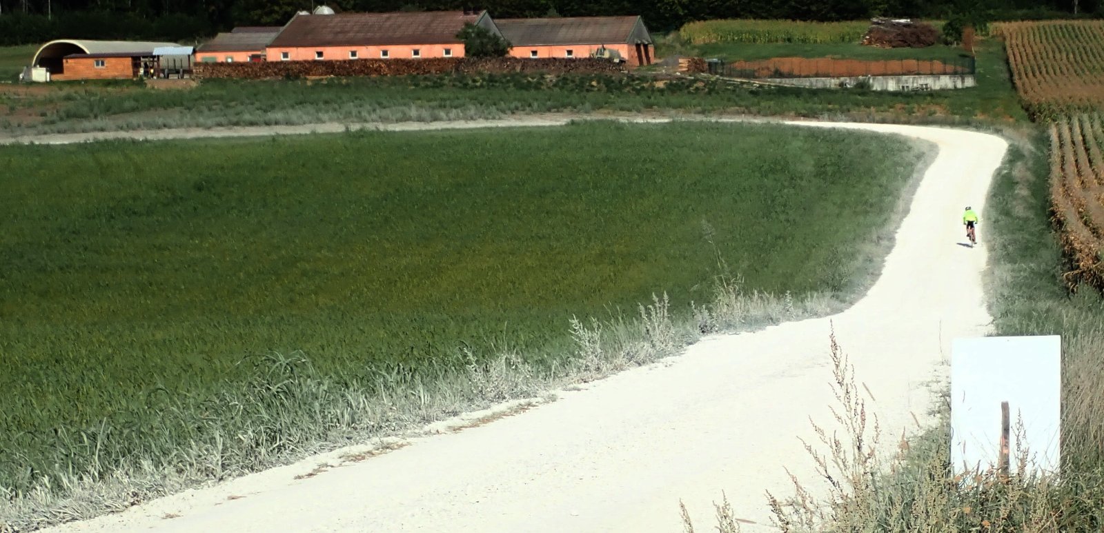 un chemin blanc aveuglant.jpg