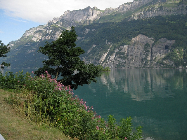 IMG_1111.jpg