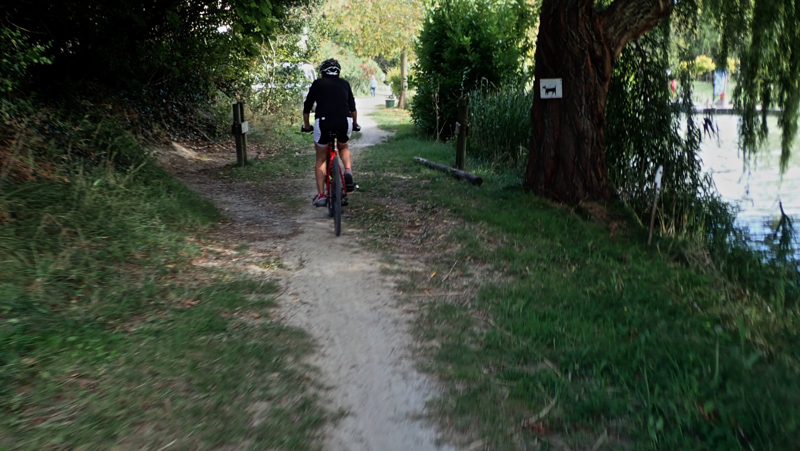 Canal du Midi près de Sauzens.jpg