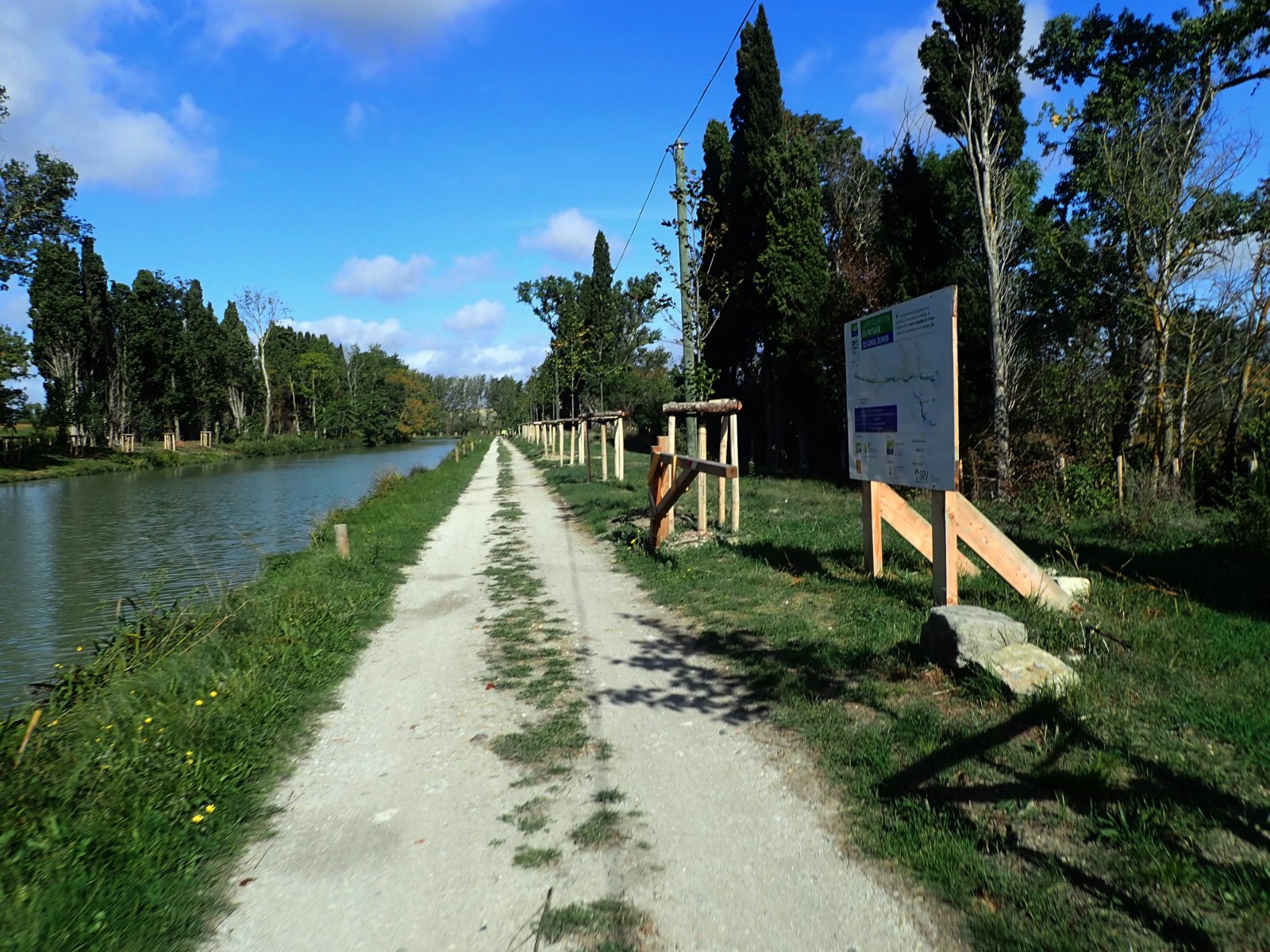 Replantation du Canal.jpg