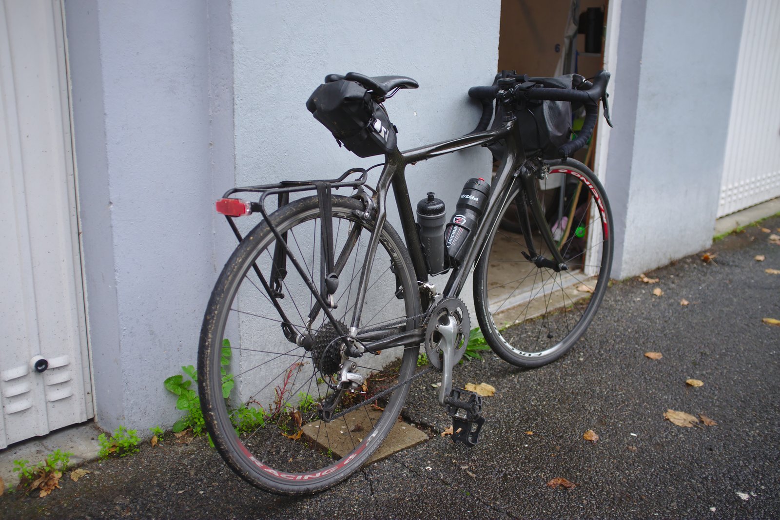 Randonneuse carbone (009).jpg