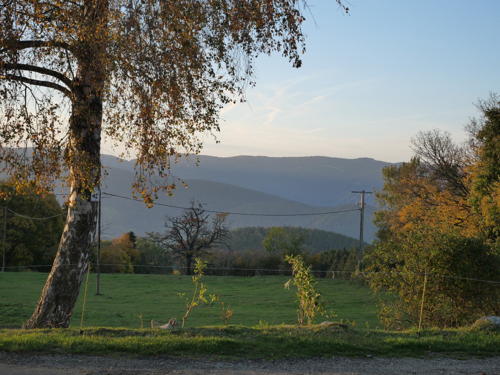 P1002841.JPG
