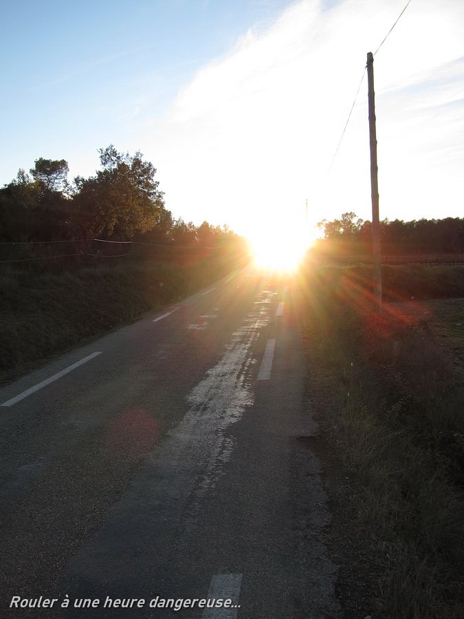 S95_20070_CY.JPG