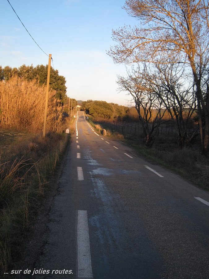 S95_20071_CY.JPG