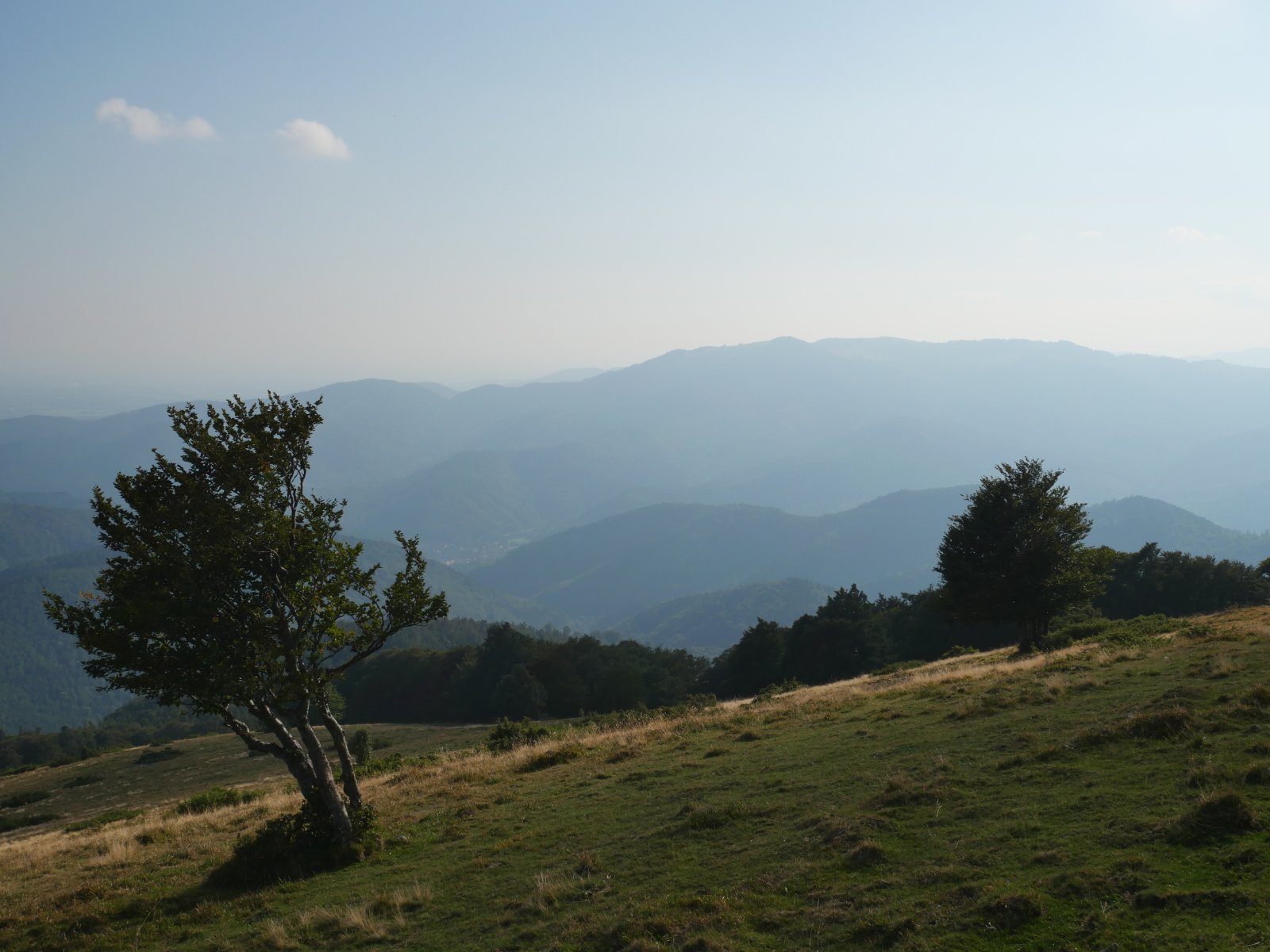 P1002213.JPG