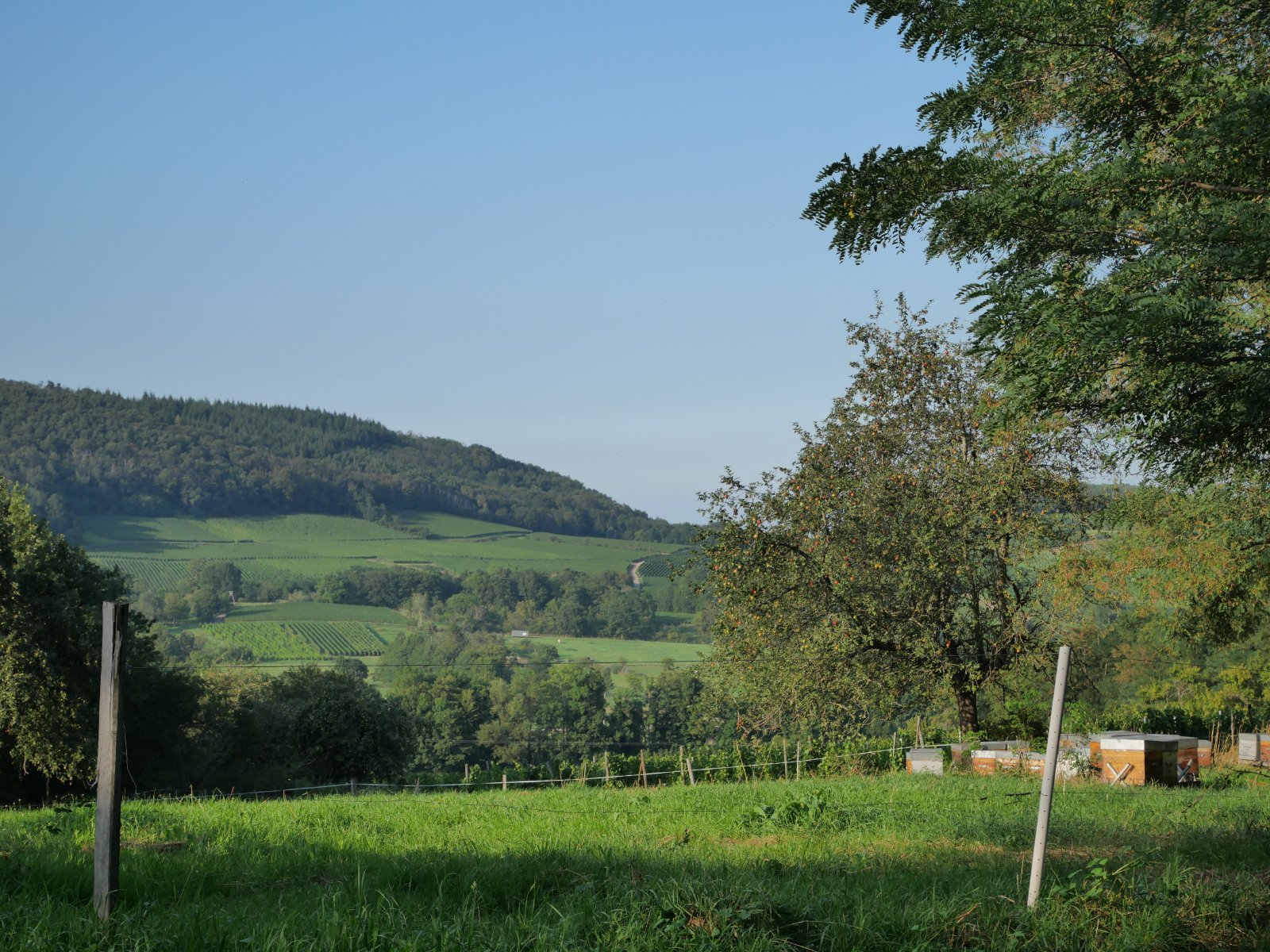 P1002226.JPG