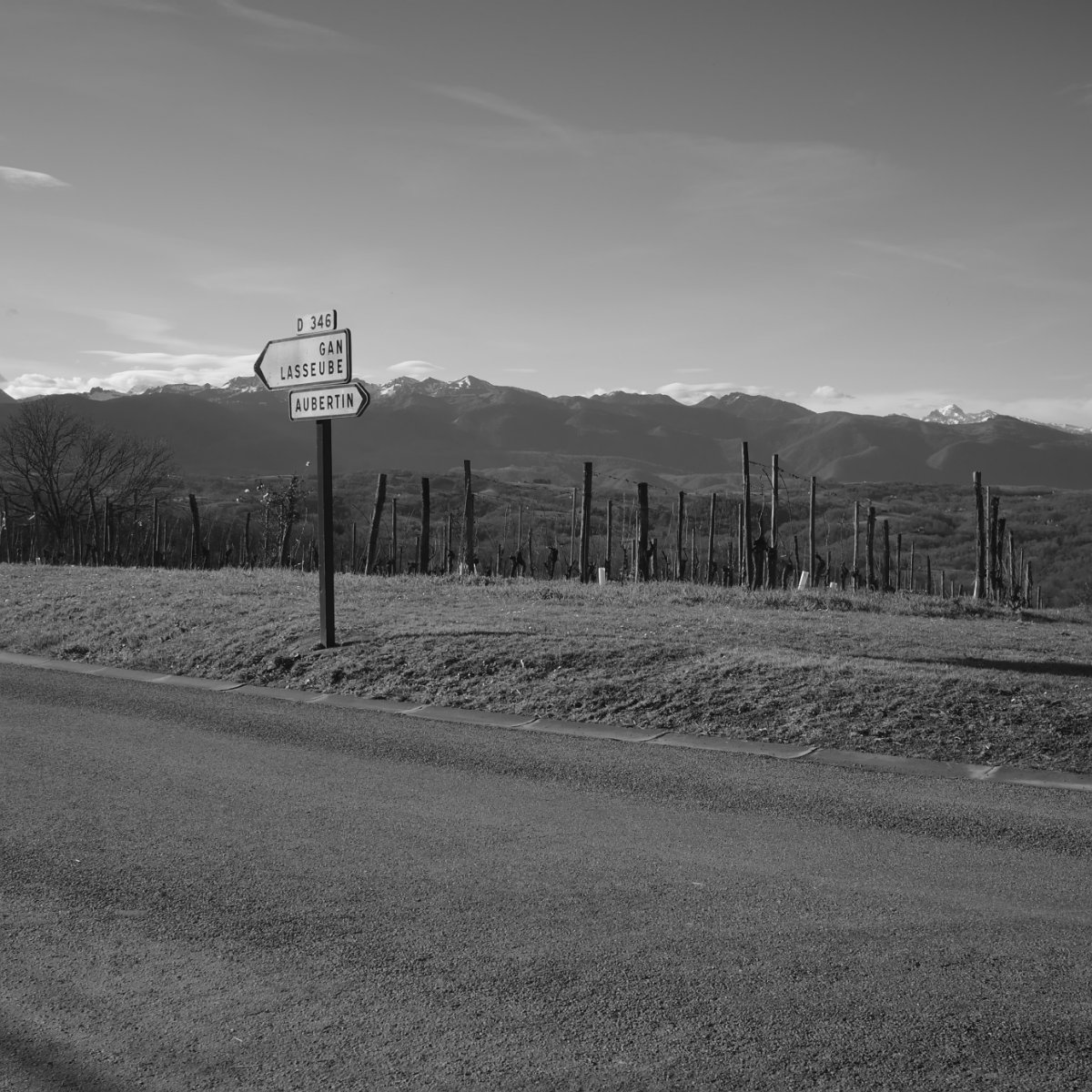 2020_01 part 5 (023).jpg